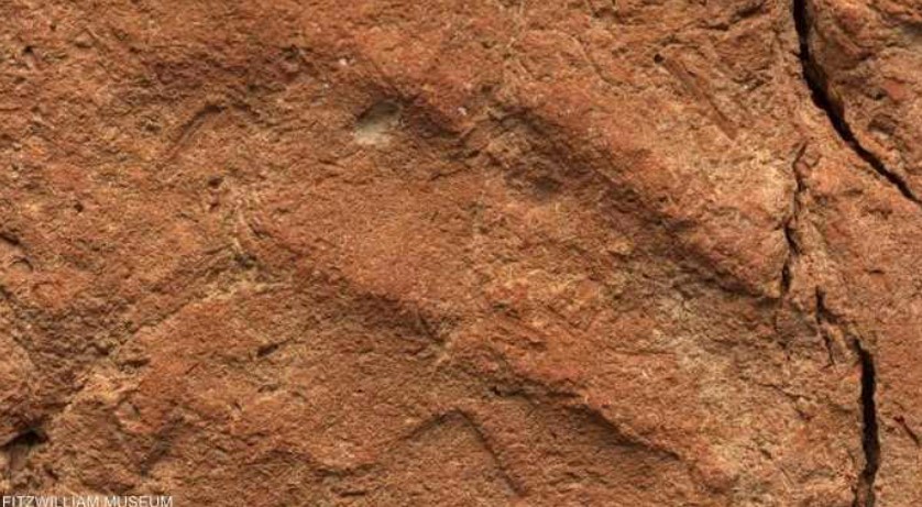 مصر.. اكتشاف بصمة يد عمرها 4 آلاف عام على أثر طيني