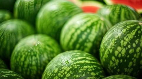 عند تناول البطيخ.. “خطأ شائع” يمكن أن يسبب التسمم