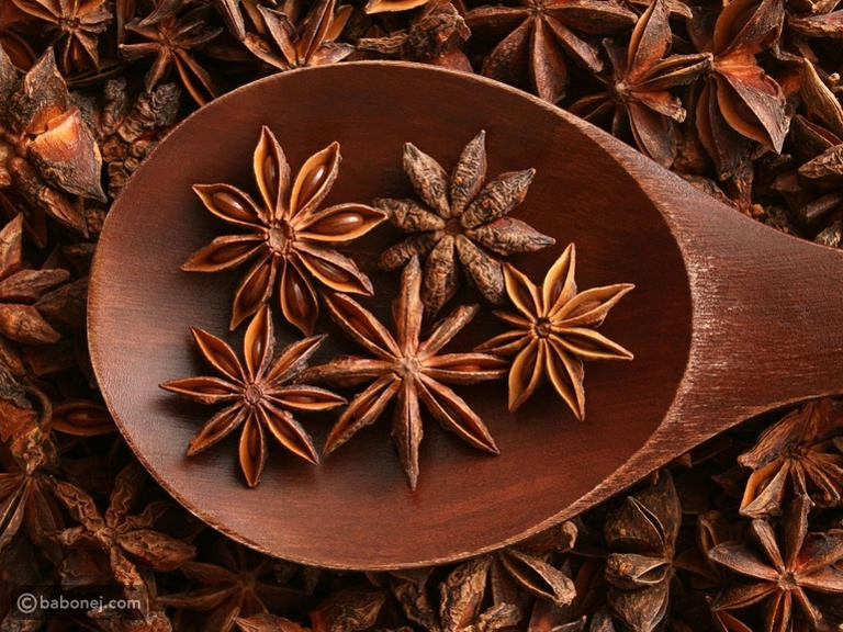 فوائد اليانسون للصدر