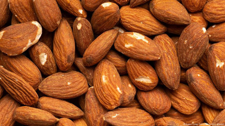 60 غرامًا من اللوز كل يوم تحمي الحمض النووي وتقلل الأكسدة